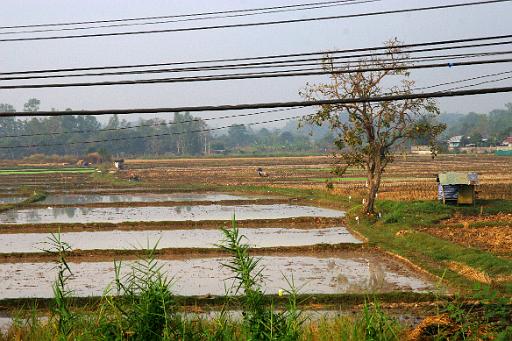 0577 Chiangmai.jpg